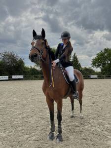 Top jument pour concours amateurs