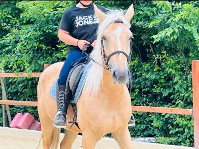 Cheval de loisir 100% fiable