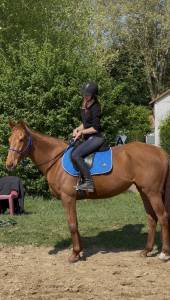 Pur-sang - jument, 6 ans