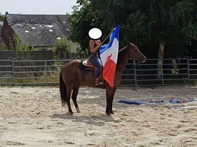Jument appaloosa pp