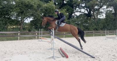Jument sf - 4 ans - 165cm 