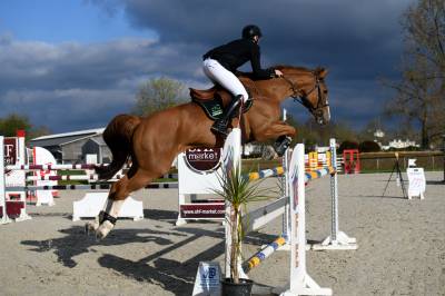 Jument 10 ans ( balou du rouet )
