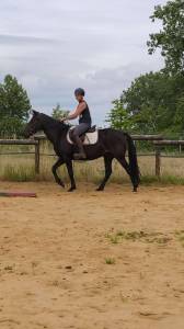 Ponette 1m46 4 ans