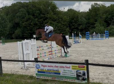 Koldplay d’unartani, 5 ans