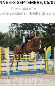 Hongre 8 ans 1m77