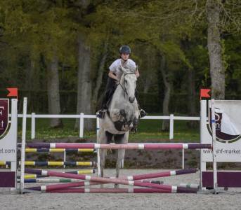 Dp cheval loisirs ou compétition