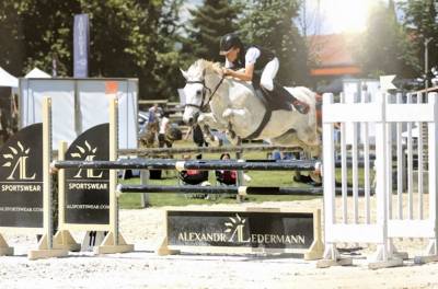 Poney de sport à vendre 