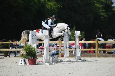 Cheval hyper polyvalant
