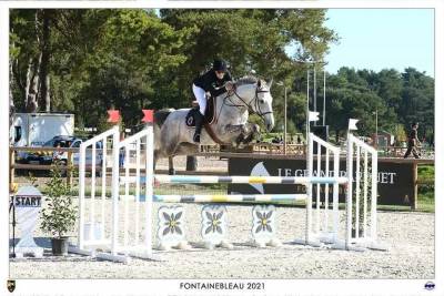 Jument de sport sf 10 ans