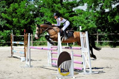 A louer ponette d pour poney élite/ as 2