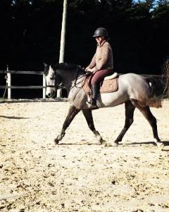 Location petite jument par roudoudou