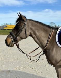 Ponette de sport