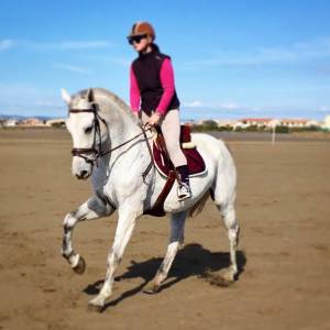 Hongre, 16 ans