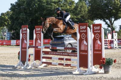 Jument de sport 5 ans