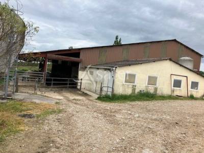 Exploitation lait aop comté