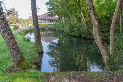 Moulin à eau UNIQUE et RESTAURE sur domaine de 8 ha