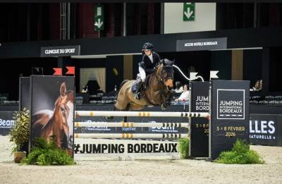 Jument de cso 13 ans a vendre 