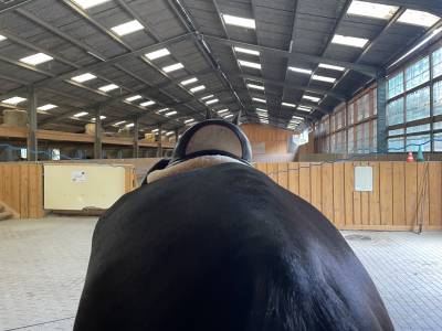 Selle dressage  childeric finition swarovski 
