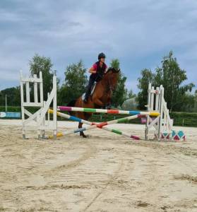 Hongre ps de 10 ans