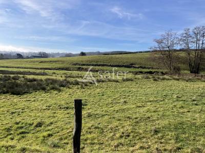 Recherche investisseur - 72 ha - Bourgogne