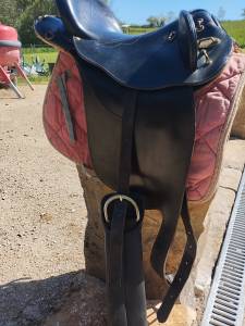 Selle australienne