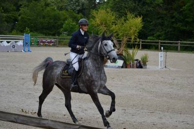 Jument grise par tornesch 