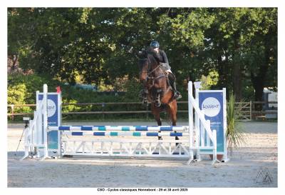 Jument 5 ans haute génétique (sport, élevage, loisirs)