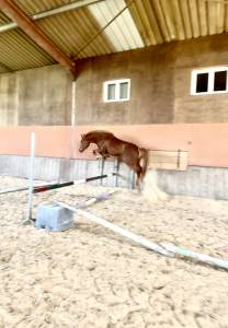 à vendre 