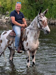 Amazing mule