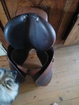 Vds selle cwd 17.5 pouce1500euros