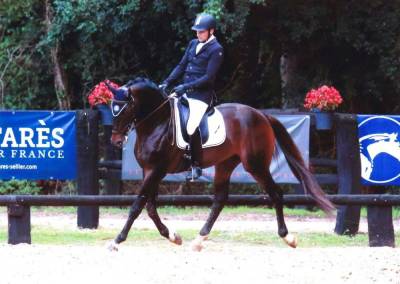 Demi pension cheval