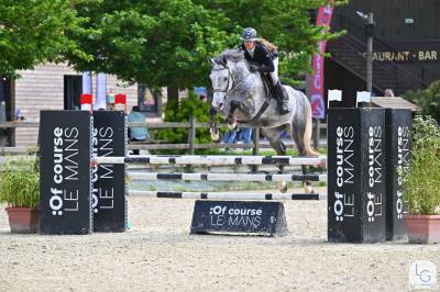 Hongre de 5ans cso
