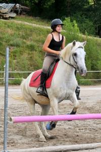 Jument camargue 