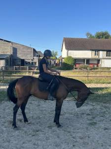 Trotteur 3 ans reformé 