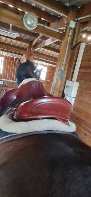 Sella da dressage devoucoux 18