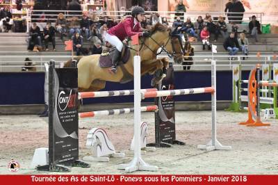 Recherche cheval pour valorisation