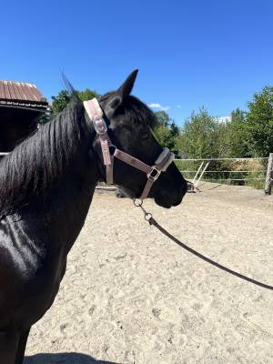 Ponette onc