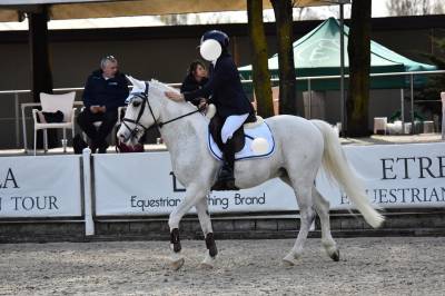 Vendo Pony