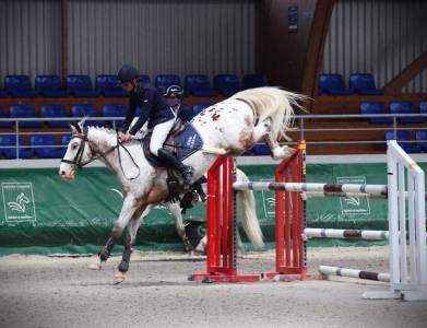Etalon pfs cso