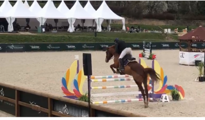 Kaprice de la roche sf hongre 5 ans