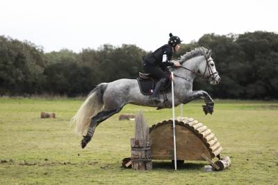 À VENDRE – PONEY DE CCE AS PONEY ÉLITE GRAND PRIX