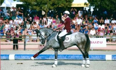 Hongre cruzado