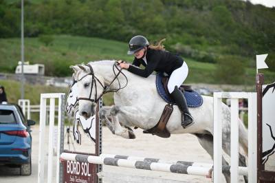 Poney hongre pre pp