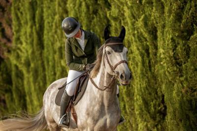 Jument chic et facile – idéale amateur pour progresser