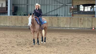 Jument quarter horse palomino