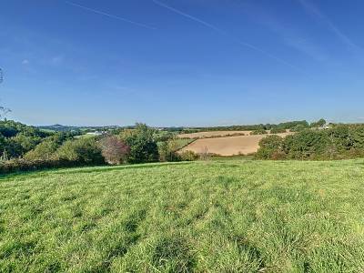 Albi (81) - propriété élevage 50ha avec corps de ferme 