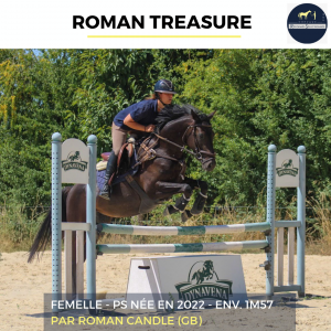 Roman treasure - ps - 3 ans