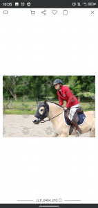 Location poney de sport