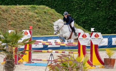 Poney de sport a vendre