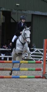 Jument autre race de poney a vendre 2016 gris